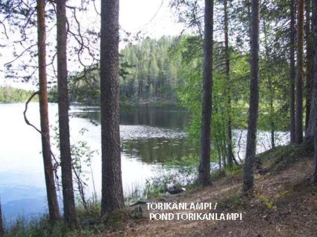 Дома для отпуска Holiday Home Viipusjärvi 11 Рука-41